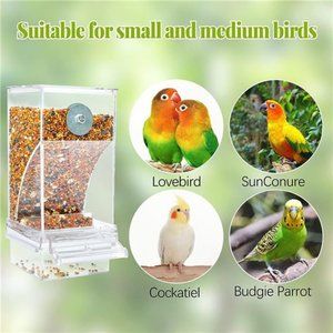 Automatic Bird Feeder For Cage - Acrylic Transparent Parrot Foraging Feeder, Food Saving Design For Parrots, Canaries, Cockatoos